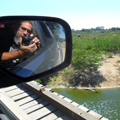 silvão