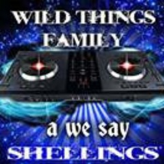 Fast Turtle Simeon Cordis