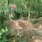 Danny Taylor 30