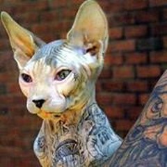 Danielle Robinson 20