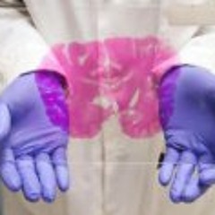 Tommaso Cecchi De' Rossi