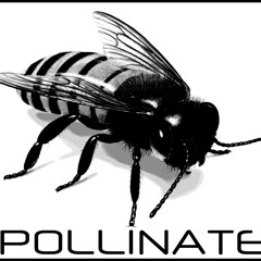 Pollinate SF