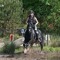 Liberty-stables Hw