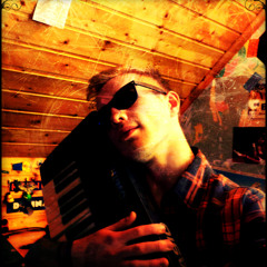 Love in a trashcan - The Raveonettes - Cover By Steven Wyns