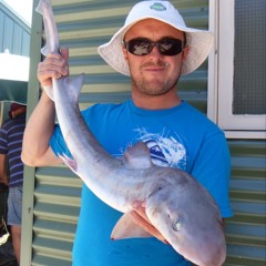 No Excuses ( Alice In Chains) at Hillsong Church