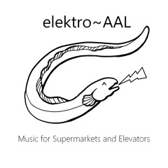 elektro~AAL - das PIANO