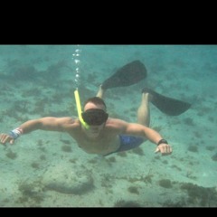 scuba steve 33