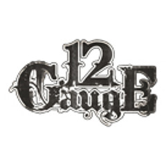 TwelveGaugeUK - Private