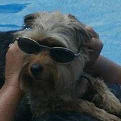 Amy Wolterman Sessions