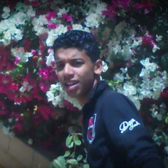 Ahmed Elmawass