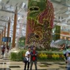 Arie Hartz Corleone Arc