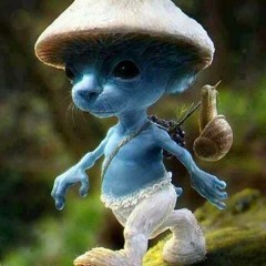 Ron Psy Psyince