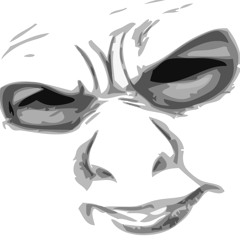 alfonizer
