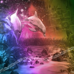 Mysterious Dolphin