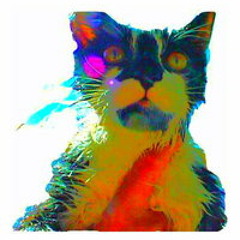 Ayatollah Of Rocknrolla