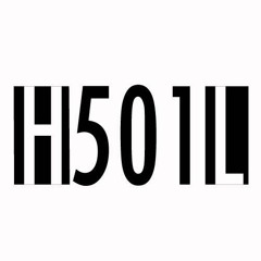 H501L