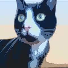 katerclyde