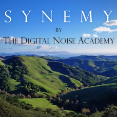 digitalnoiseacademy