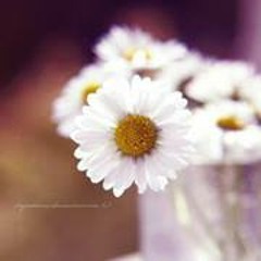 مشاري راشد - دعاء المغفره