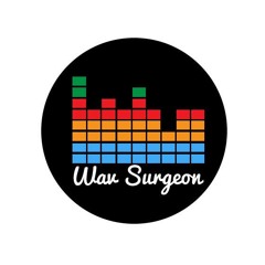 Wav Surgeon
