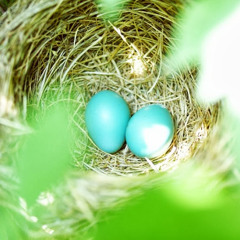 Original Compositions