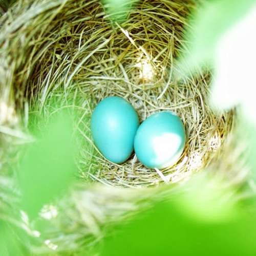 Original Compositions