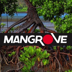 Mangrove Productions