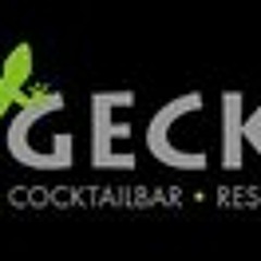 Geckolounge Koblenz