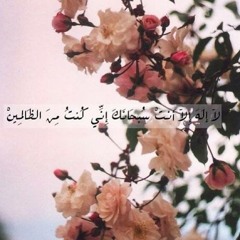 Yousra El-snosy