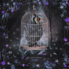 The Hype Theory Official