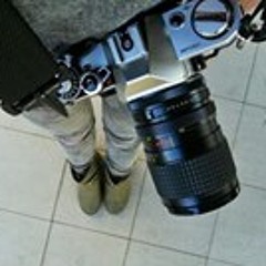 Veronica Zazu Sagone