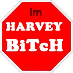 HARVEY IS HERE