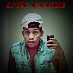 Aux cable charles
