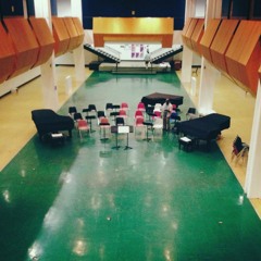 Conference of The Birds