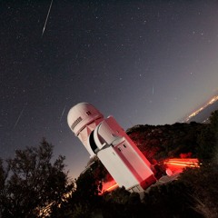 Hamidreza Fereidouni