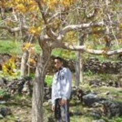 Hadi Mohamadi 1