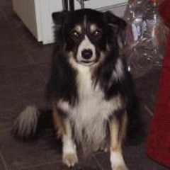 Kirsten Williamson 2