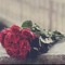 Nourhan Essam 2
