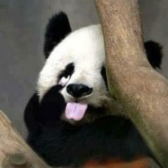 Chakrit Wunthanathunya