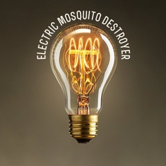 electricmosquitodestroyer