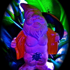 BiNaRY GNoME