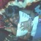 Samantha Breland