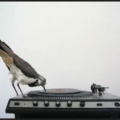 DJ Meta