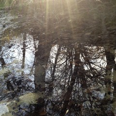 Anomalous Happenings