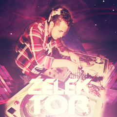 ZELEKTOR.