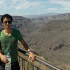 Miguel Ernesto Silva