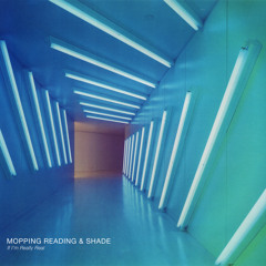 MOPPING READING & SHADE