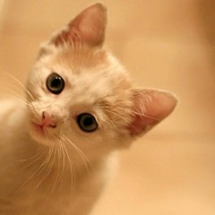 Heirs OST Compilation Part 2