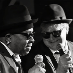 The Blues Blah Brothers