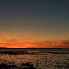 Sebastian K. Hoffmann